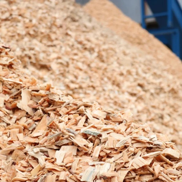 Astillas de madera producidas en el aserradero de Hijos de Ramón Rubal