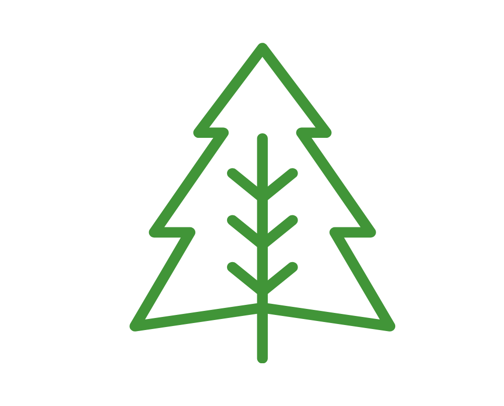 Aprovechamiento forestal con técnicas sostenibles para suministro de madera de calidad