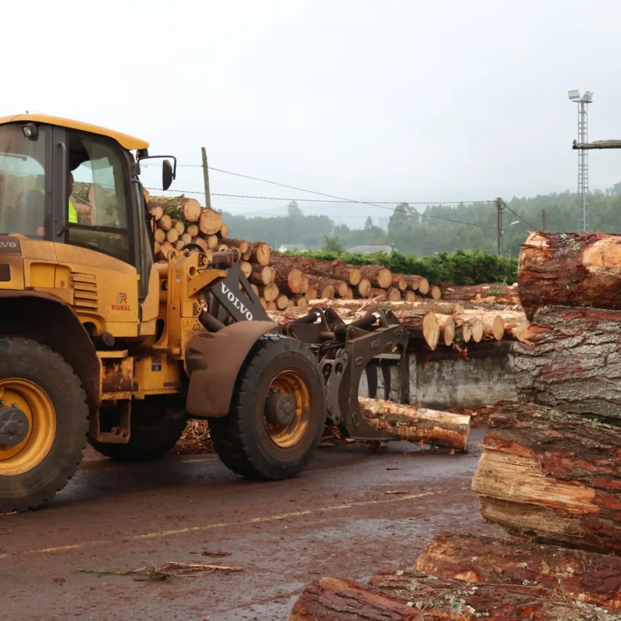 Productos derivados del pino: cortezas, serrín, tablas y astillas – Hijos de Ramón Rubal