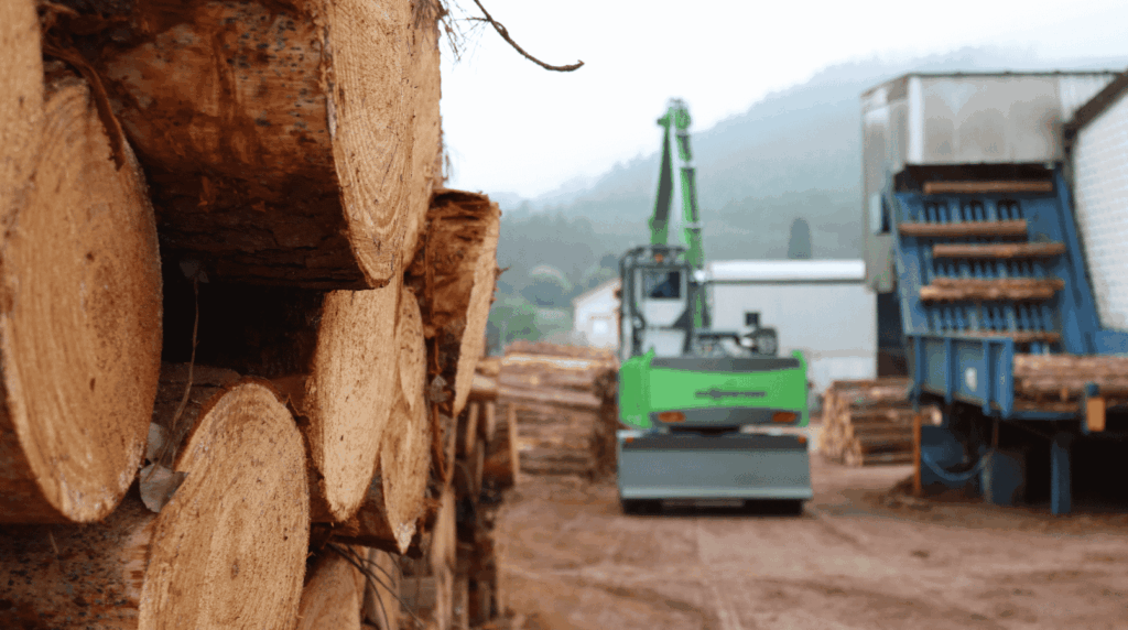 Industria de la madera en Galicia y transformación del pino gallego