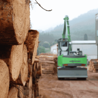 Industria de la madera en Galicia y transformación del pino gallego