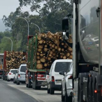 La fuerza de la madera en A Mariña