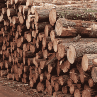 Proceso de transformación de la madera en aserradero de Galicia