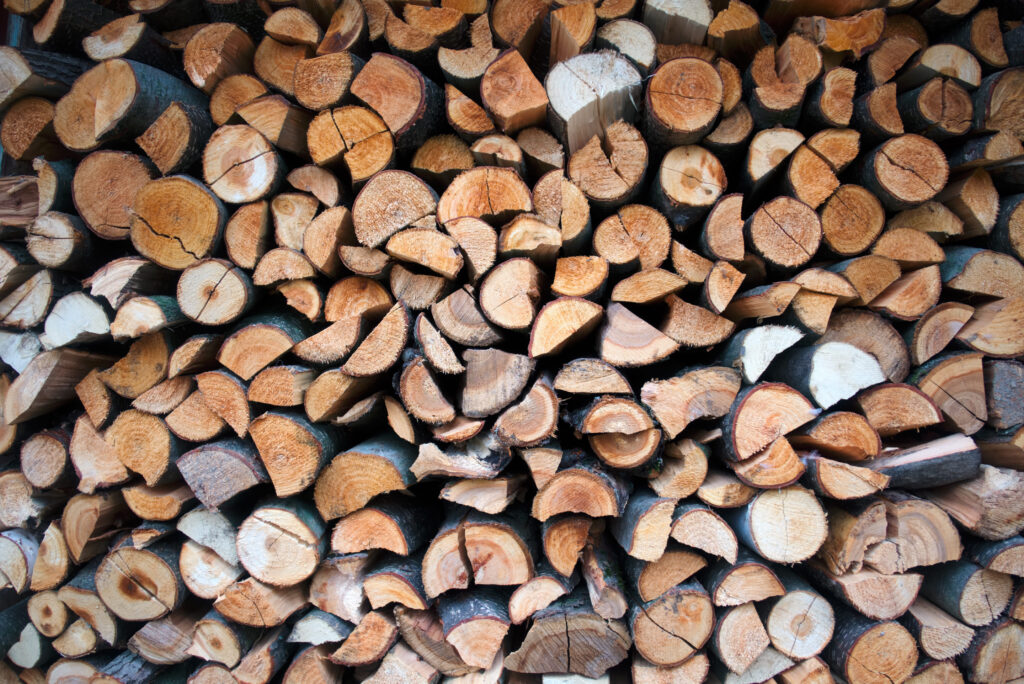 secado de la madera