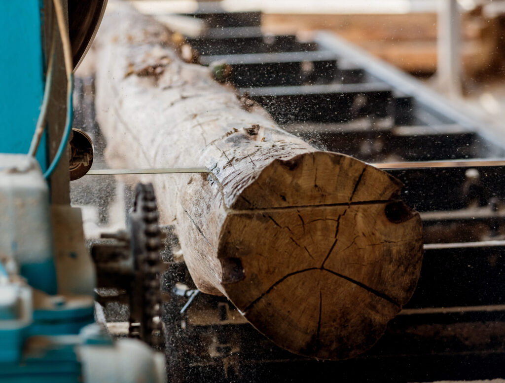proceso de transformación de la madera